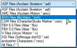 formats